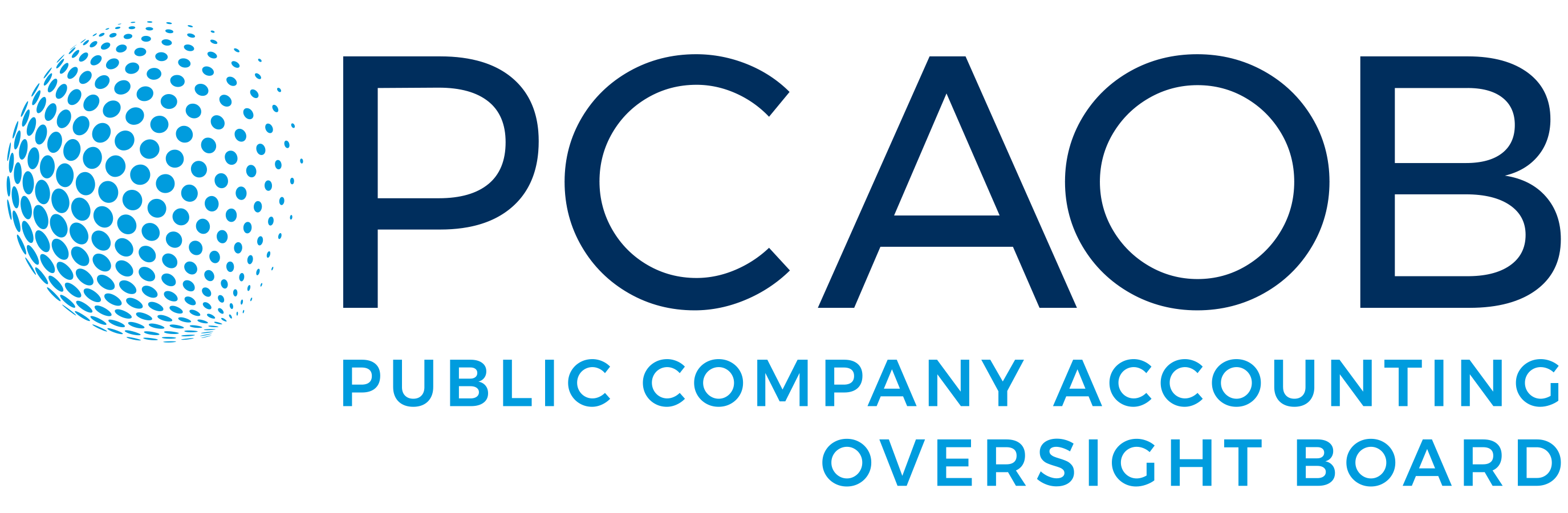 2020-PCAOB-Logo_2750X900.png